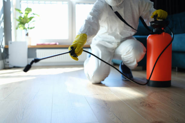 Reliable Wyandotte, MI Pest Control Solutions