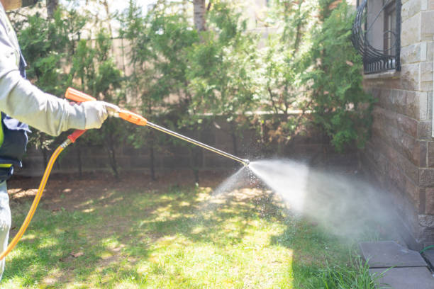 Best Cockroach Control Services  in Wyandotte, MI