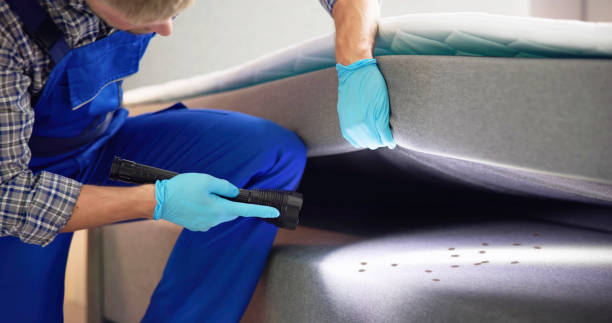 Best Pest Control Near Me in Wyandotte, MI