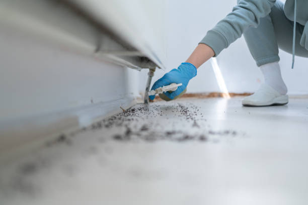 Best Mosquito Control Services  in Wyandotte, MI