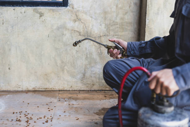 Best Commercial Pest Control Services  in Wyandotte, MI
